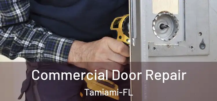  Commercial Door Repair Tamiami-FL