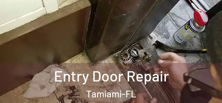  Entry Door Repair Tamiami-FL