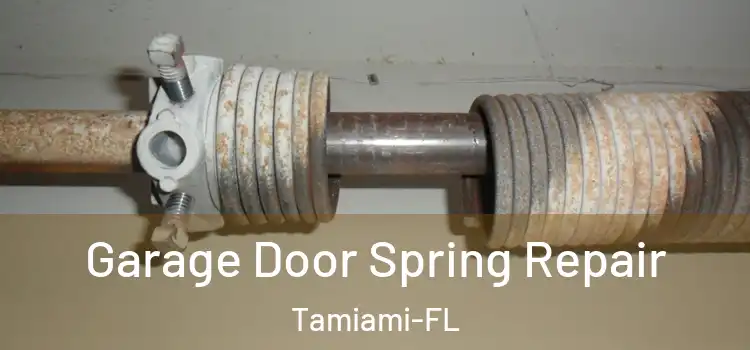  Garage Door Spring Repair Tamiami-FL