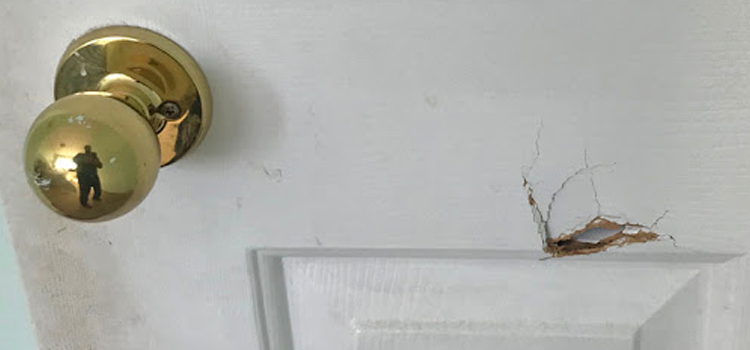 interior door hole repair Tamiami