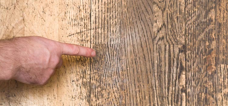 Wood Door Scratch Repair in Tamiami